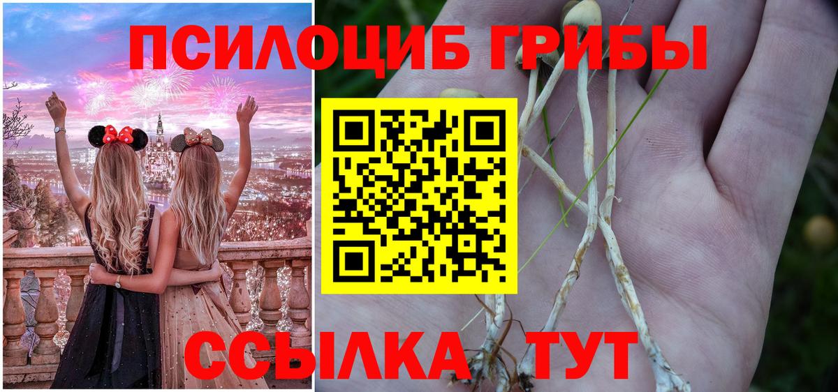 Кунгур  Псилоцибиновые грибы Cubensis  Вход с VPN  Галлюциногенные грибы мицелий 